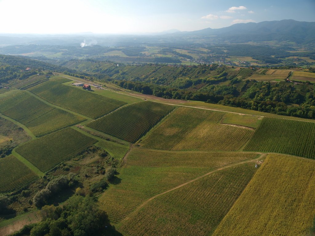 Bolfan — winery
